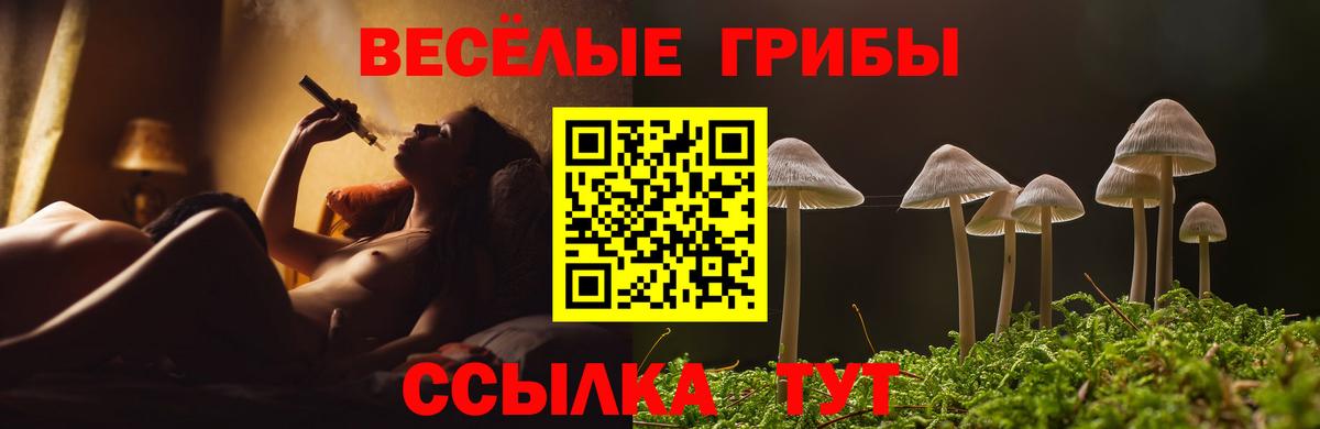 Псилоцибиновые грибы GOLDEN TEACHER  Галлюциногенные грибы GOLDEN TEACHER  Славянск-на-Кубани  Вход с VPN 